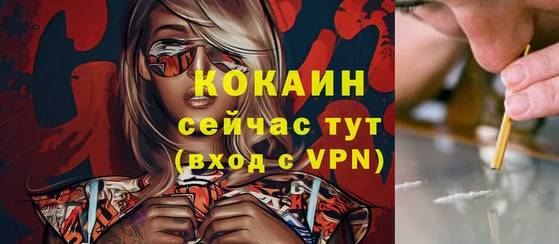 дарнет шоп  Котельнич  COCAIN 97% 